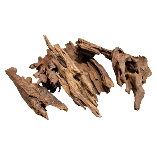 Superfish aquarium fish - superfish,