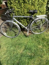 Ridgeback Gents Premium