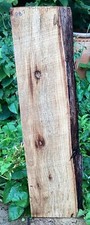 Waney Edge Live Edge Elm