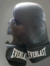 Everlast spark training - ,