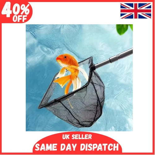 Pond net catch fish - catch, &