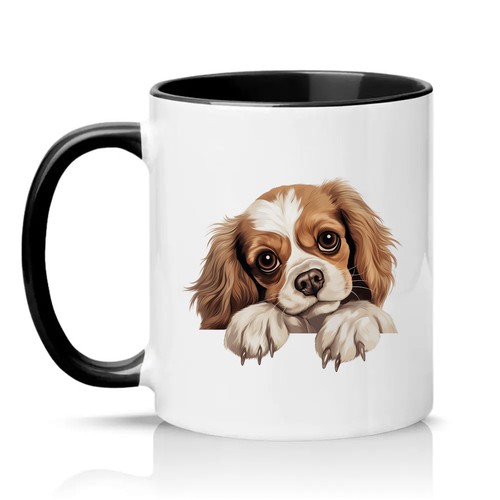 Cavalier king charles spaniel - cavalier,