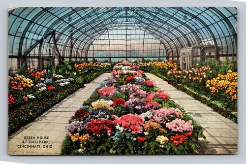 Greenhouse interior with - greenhouse,