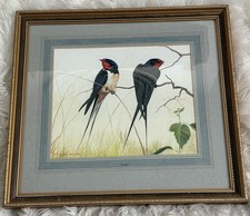 SHIRLEY ANNE WEBB SIGNED