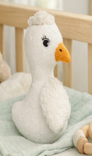 Cam camcam duck bird - camcam,