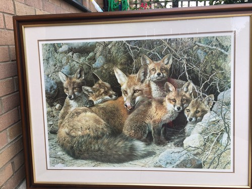 Fox print full house carl - by,
