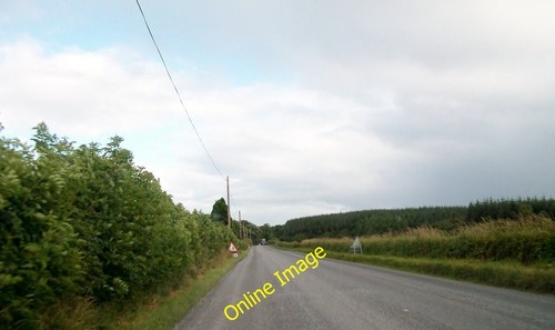 Photo 6x4 forests either - forests, on