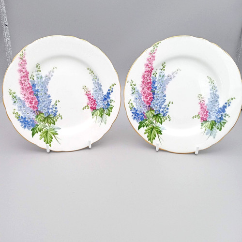 Aynsley delphinium 2 pretty - delphinium,
