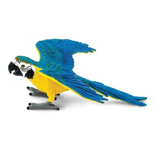 Blue and gold macaw - gold, wings