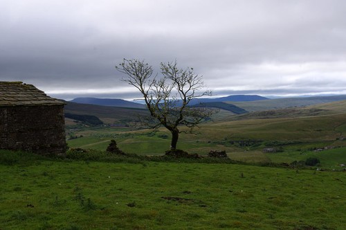 Photo 6x4 grazing land high - photo,