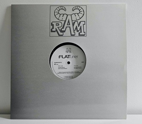 Flatliner the big bang - big, rmx