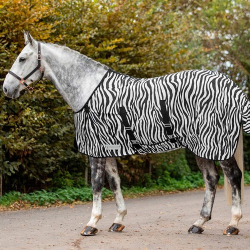 Waldhausen horse zebra - horse,