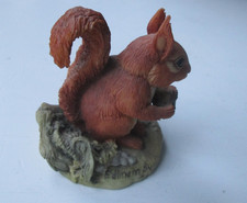 Teviotdale Red Squirrel