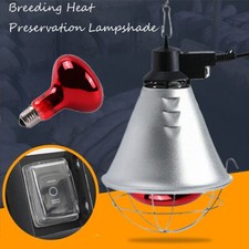 250W Infra Red Heat Lamp &