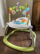 Fisher-Price CHN38 Rainforest Spacesaver Jumperoo Portable Baby Chair