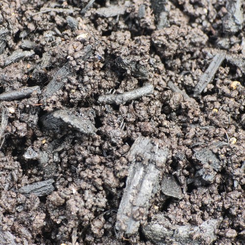 Worm castings activated - castings,