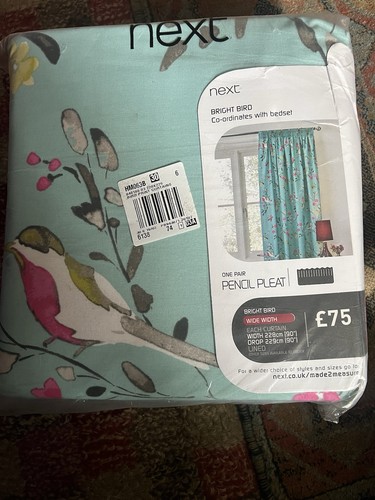 New next blue bright - next, birds