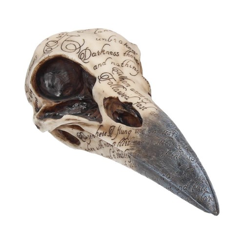 Edgars raven skull - raven,