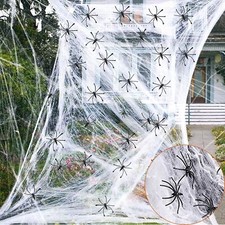 Spider web spiders - spider,