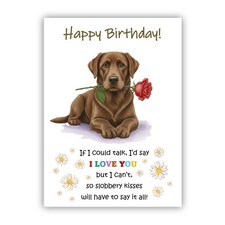 Chocolate Labrador Birthday