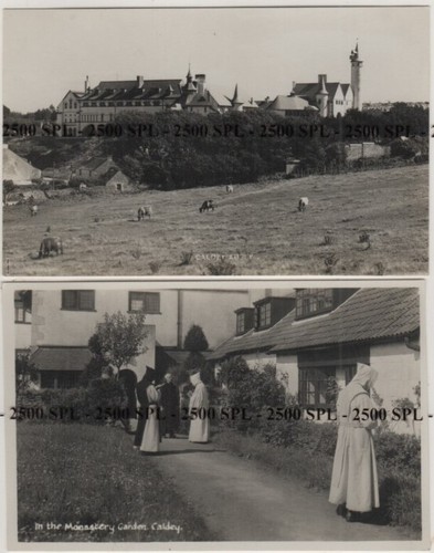 Caldey island postcard - caldey,