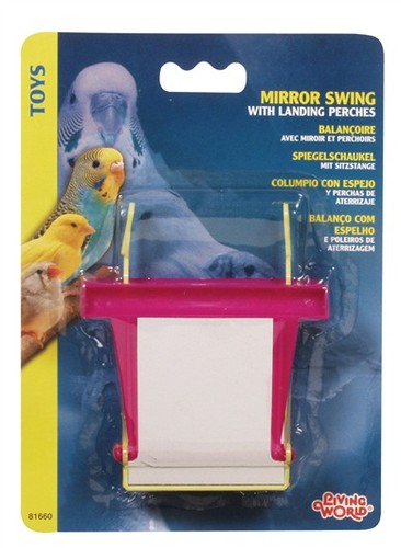 Living world bird - living, mirror