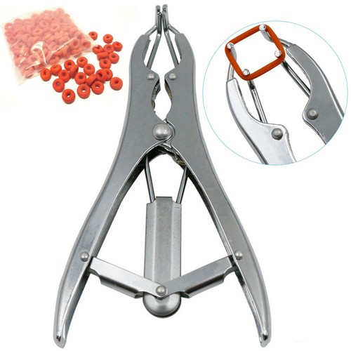 Castrating pliers rubber ring - pliers,