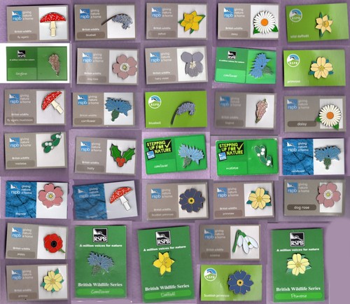 Rspb pin badges - pin, the