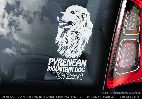 Pyrenean mountain dog car - mountain,