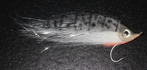 Fly fishing saltwater flies - fly,