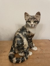 Large Winstanley Cat Size 5