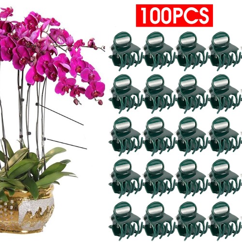 100pcs plant fix clips orchid - 100pcs,