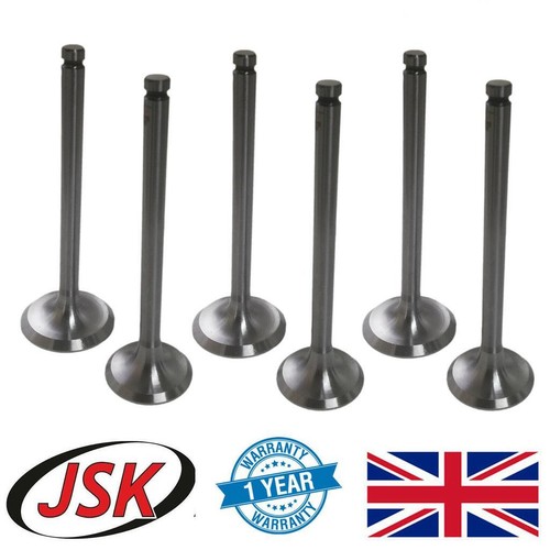 6pc valve set inlet - inlet, exhaust