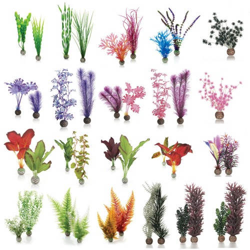 Oase biorb easy plant kelp - oase,