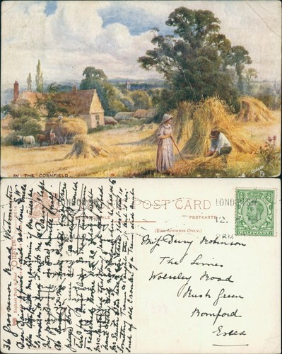 The cornfield tucks oilette - in,