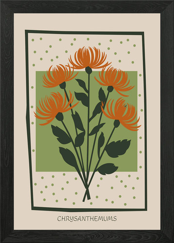 Chrysanthemum floral mid - floral,
