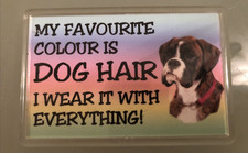 favourite colour is dog hair