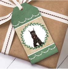 Giant Schnauzer Dog Green