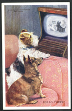 Dogs - Wire-Haired Terrier & Corgi watching early TV postcard - Mabel Gear