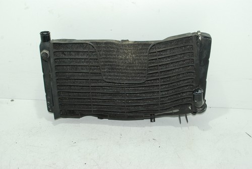 Honda cbr 900 1992 - rr, 1992-1993