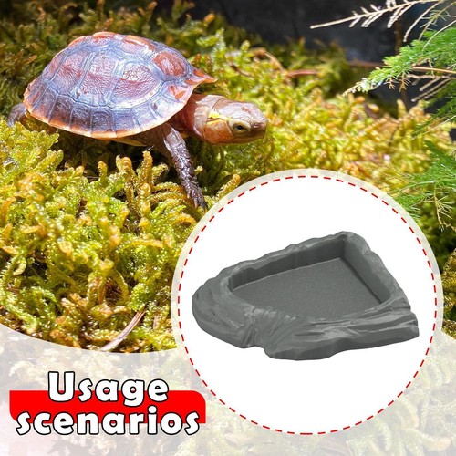 Reptile water dish corner - reptile,