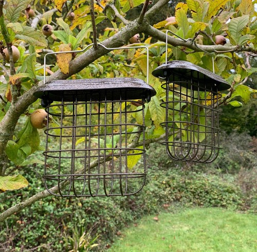 Hanging metal suet block bird - suet,