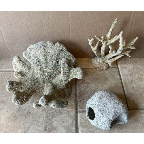 Lot coral reef - lot, of