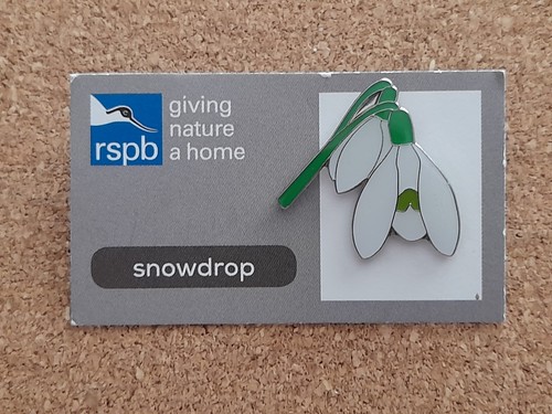 Rspb snowdrop series gnah - rspb,