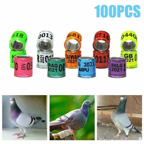 100pcs 2026 year - 2026, aluminum