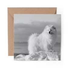 1 x Blank Greeting Card BW - Samoyed Fluffy White Dog Puppy #35429