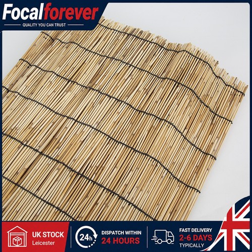 300cm natural reed - 300cm,