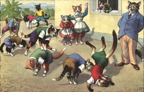 Mainzer cat fantasy - mainzer, 4878