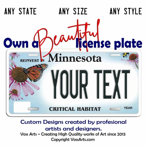 Minnesota license plate - license,