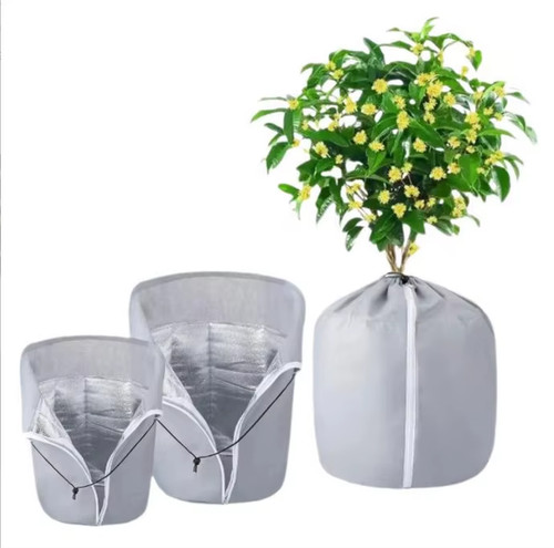 Winter plant cover - plant,